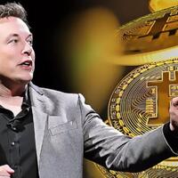 pasar-krypto-anjlok-benarkah-nasib-para-trader-di-ujung-tanduk