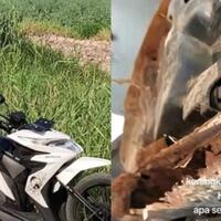 rangka-esaf-yang-moga-bikin-honda-insaf