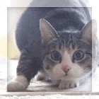 new-lounge-k-regmalang----part-5