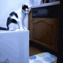 official-thread-gathering-akbar-computer-stuff-2013