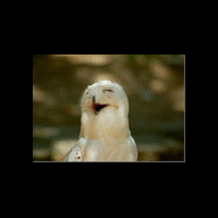 mari-kreasikan-id-kaskus-agan-disini