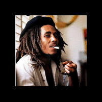 pramono-bantah-habibie-soal-tank-leopard