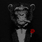 deluxe-soccer-avatar-stadium---iso-only