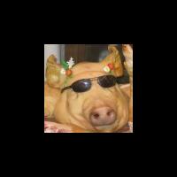 china-bangun-bandara-dipuncak-gunung