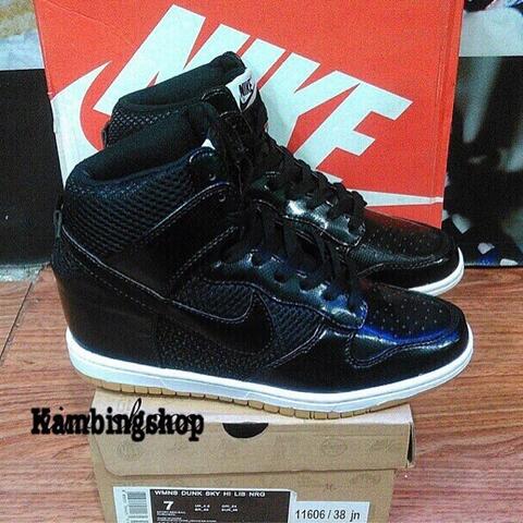 nike dunk sky hi revolution