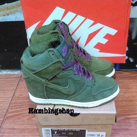 nike dunk sky hi revolution