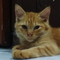 user-photo