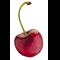 user-photo