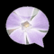 user-photo