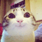 user-photo
