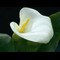 user-photo