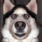 user-photo