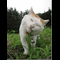user-photo