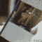 user-photo