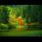 user-photo