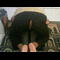 user-photo