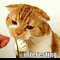user-photo