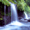 user-photo