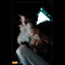 user-photo