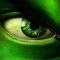 user-photo