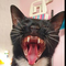 user-photo