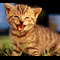 user-photo