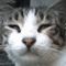 user-photo