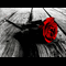 user-photo