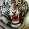 user-photo