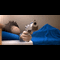 user-photo