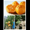user-photo