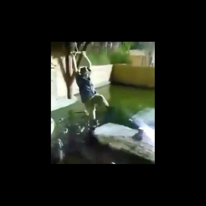 Mengerikan, Video Detik-detik Petugas Kebun Binatang Tercebur ke Kolam Penuh Buaya!