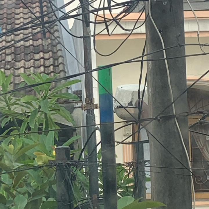 Tanya Tiang ISP