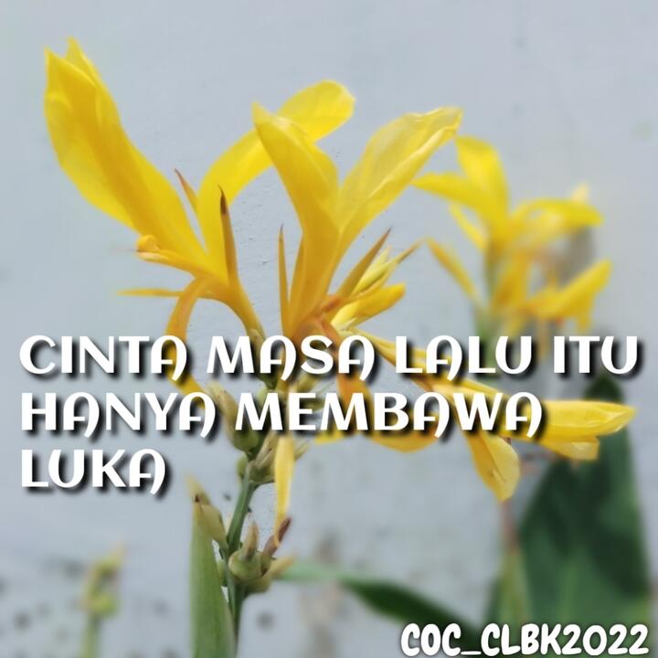 Cinta Masa Lalu Itu Hanya Membawa Luka