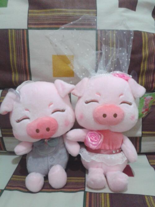 Jual Boneka Couple Hello Kitty, Teddy bear, Rilakkuma, Doraemon ( Dpinx Collection )