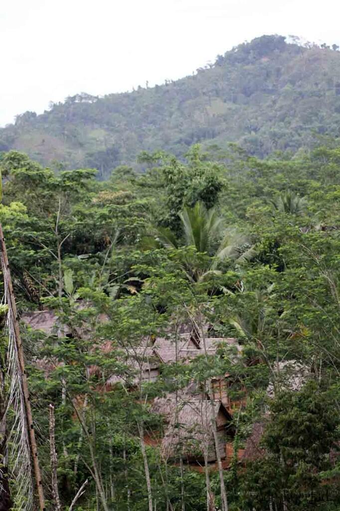 Melihat Baduy: Kehidupan Di Tengah Hutan