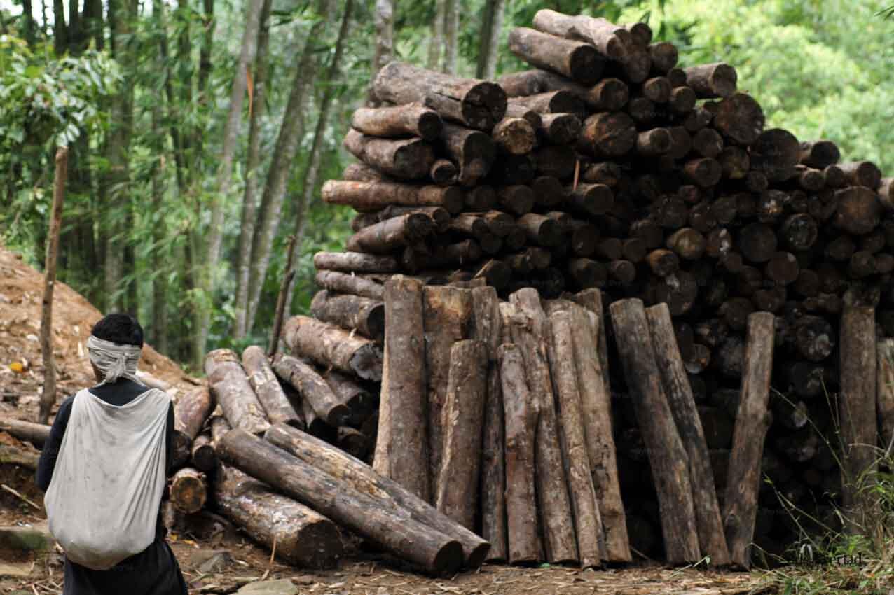 Potret Suku Baduy: Kehidupan Di Tengah Hutan