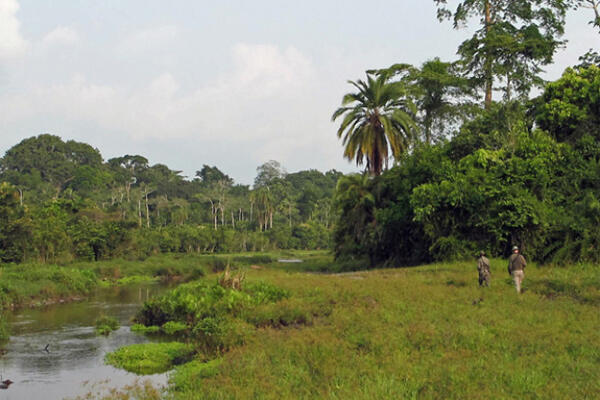 Destinasi-Destinasi Safari Terbaik Di Benua Hitam