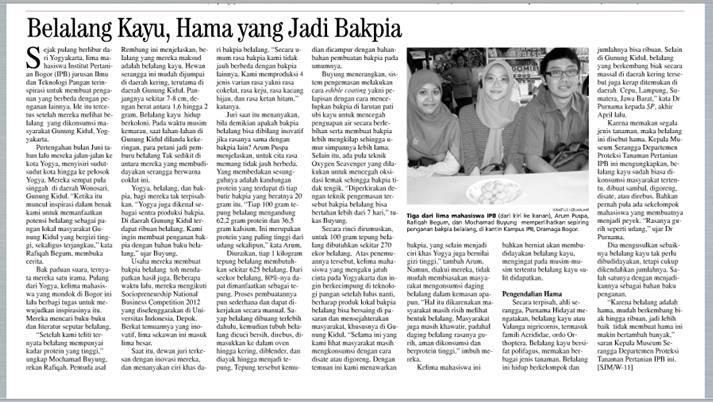 Belalang Kayu, Hama yang Jadi Bakpia