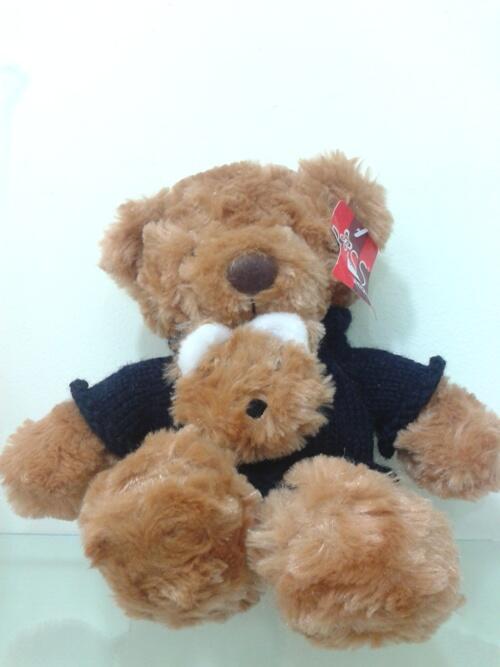 Jual Boneka Couple Hello Kitty, Teddy bear, Rilakkuma, Doraemon ( Dpinx Collection )