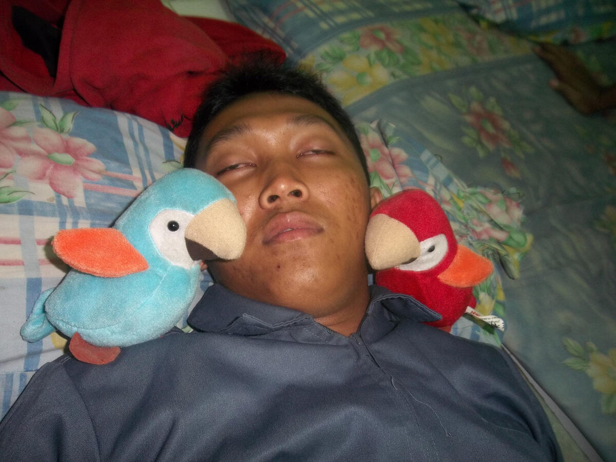 Skandal Angry Bird Mesum &gt;&gt; Masup Sini Gan