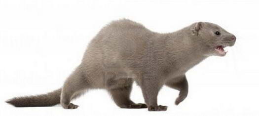 10 Misteri Aneh Tapi Nyata