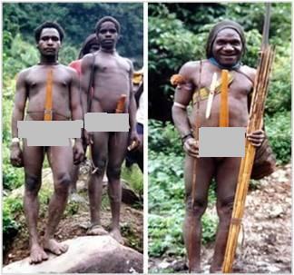 Vuvuzela EURO 2012 gan !-- called &quot; Zozulica &quot;