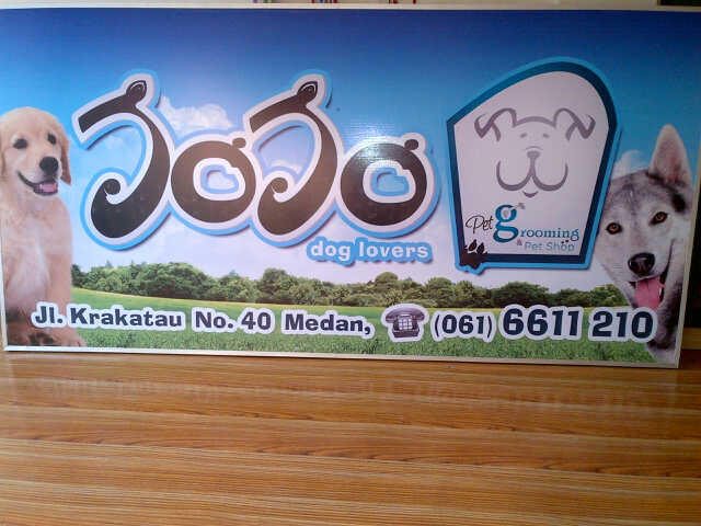 Jojo Petshop Medan - dogfood,shih tsu,golden,husky