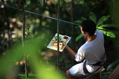 Restoran Tree Pod Dining, Pelayannya Pakai Flying Fox Saat Antar Hidangan