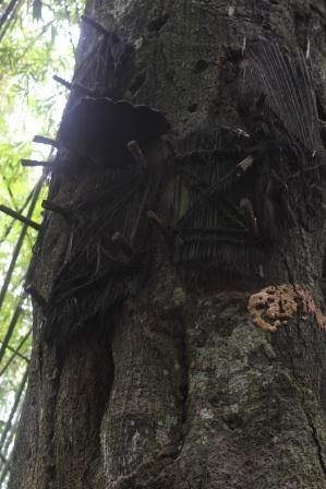 &#91;Serunya Liburan&#93; Tana Toraja Bukan Sekedar Wisata Kuburan