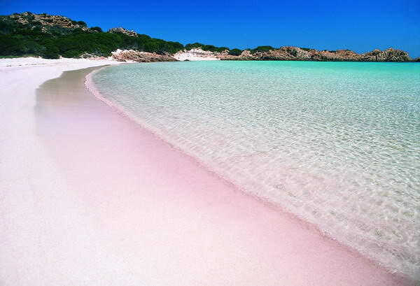 Wah! Indonesia Punya Pantai Berpasir Pink