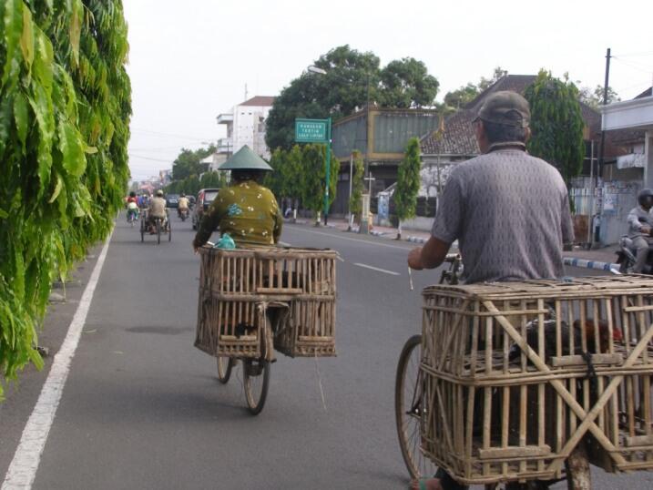 &#91;HOT&#93; Indahnya Tulungagung