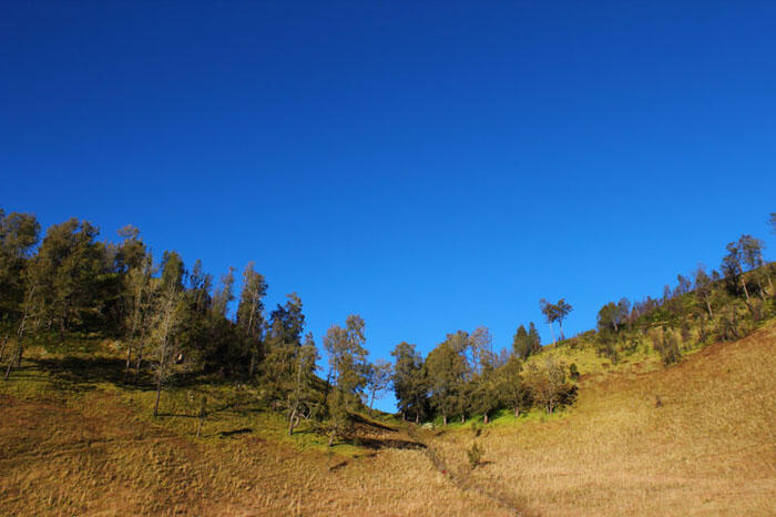 Maha Besar, Mahameru