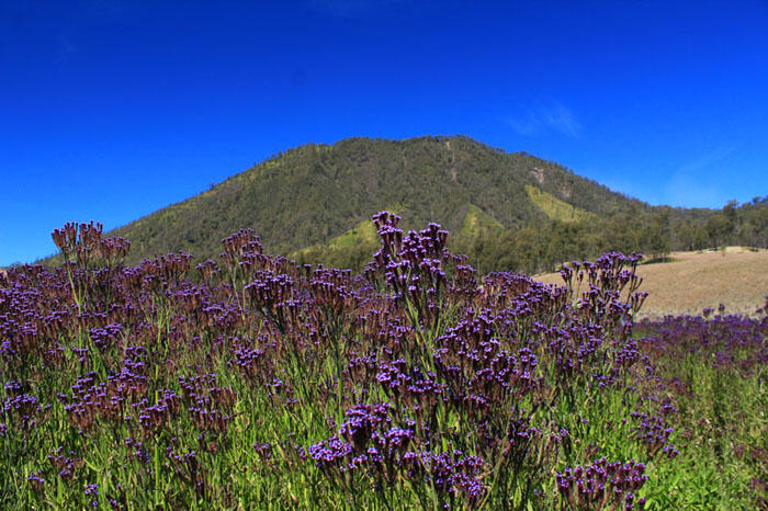 Maha Besar, Mahameru